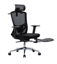 Ergonomic chair PRO